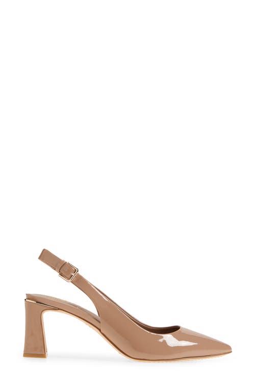 Vince Camuto Hamden Pointed Toe Slingback Pump In Chai Latte Sftpat