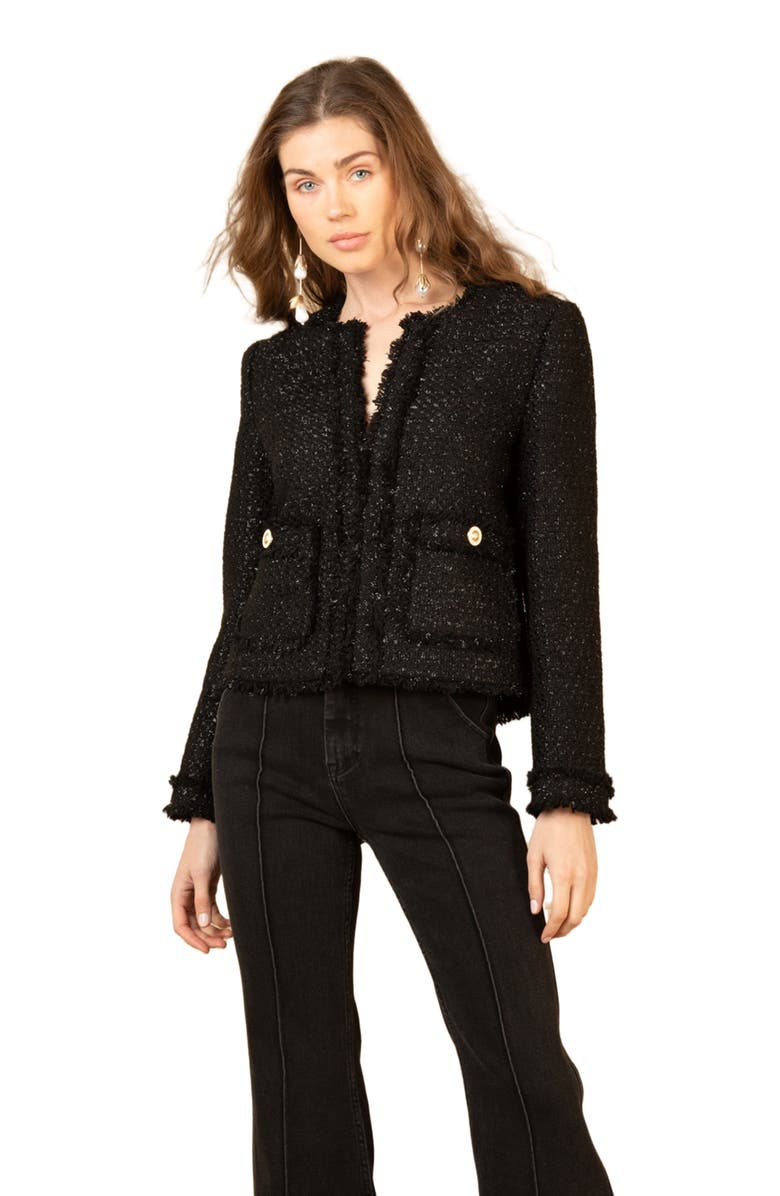 Hale Bob Magdalena Boucle Tweed Jacket, Alternate, color, Black