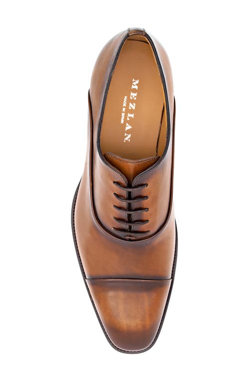 Mezlan Bocelli Cap Toe Oxford In Brown