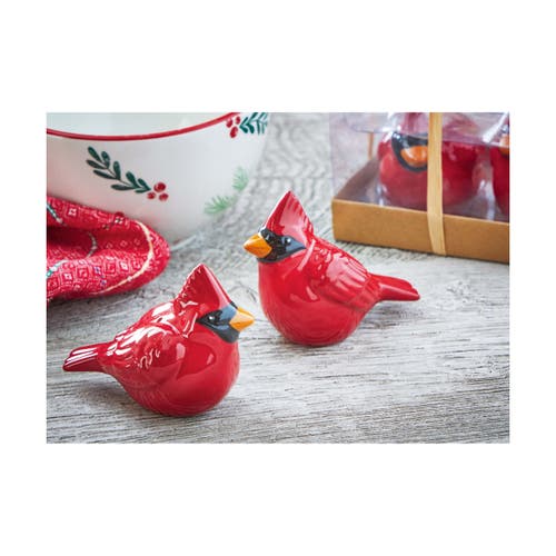 Tag Cardinal Red Ceramic Salt And Pepper Shakers Set Of 2 In Red