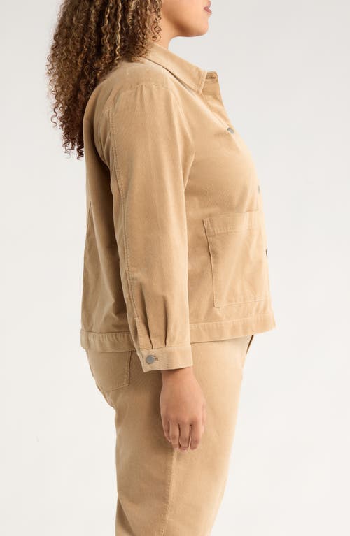 Eileen Fisher Classic Collar Corduroy Jacket In Brown