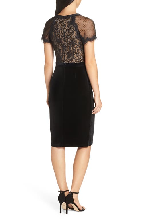 Tadashi Shoji Lace & Velvet Dress In Black