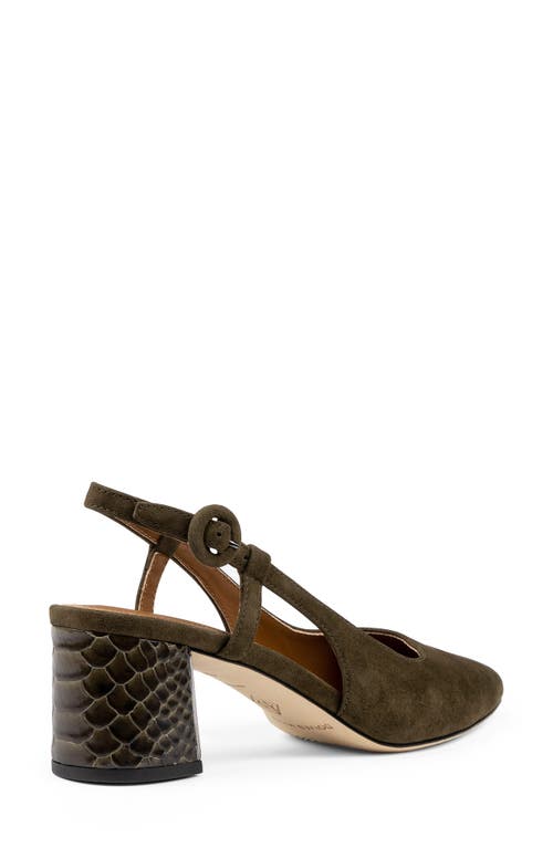 Donald Pliner Song Slingback Pointed Toe Pump