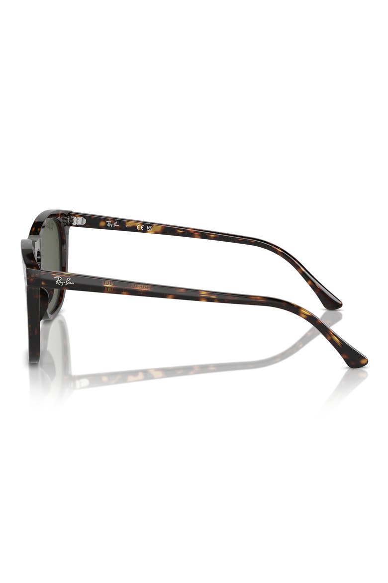 53mm Square Sunglasses, Alternate, color, HAVANA