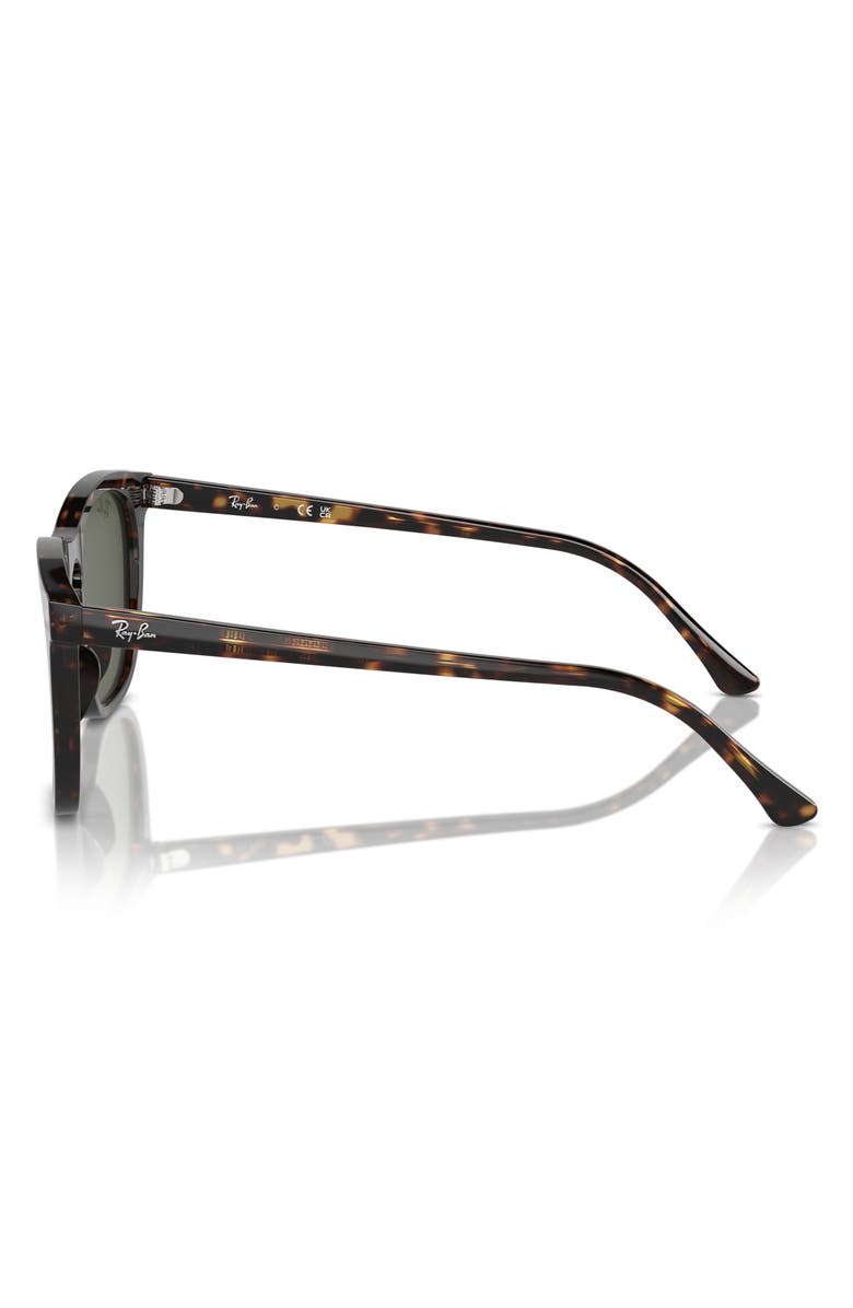 Ray-Ban 53mm Square Sunglasses, Alternate, color, Havana