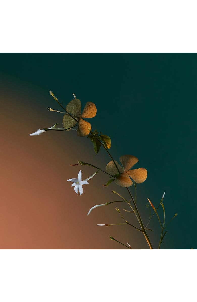 Penhaligon's A Kiss of Bliss Eau de Parfum, Alternate, color,