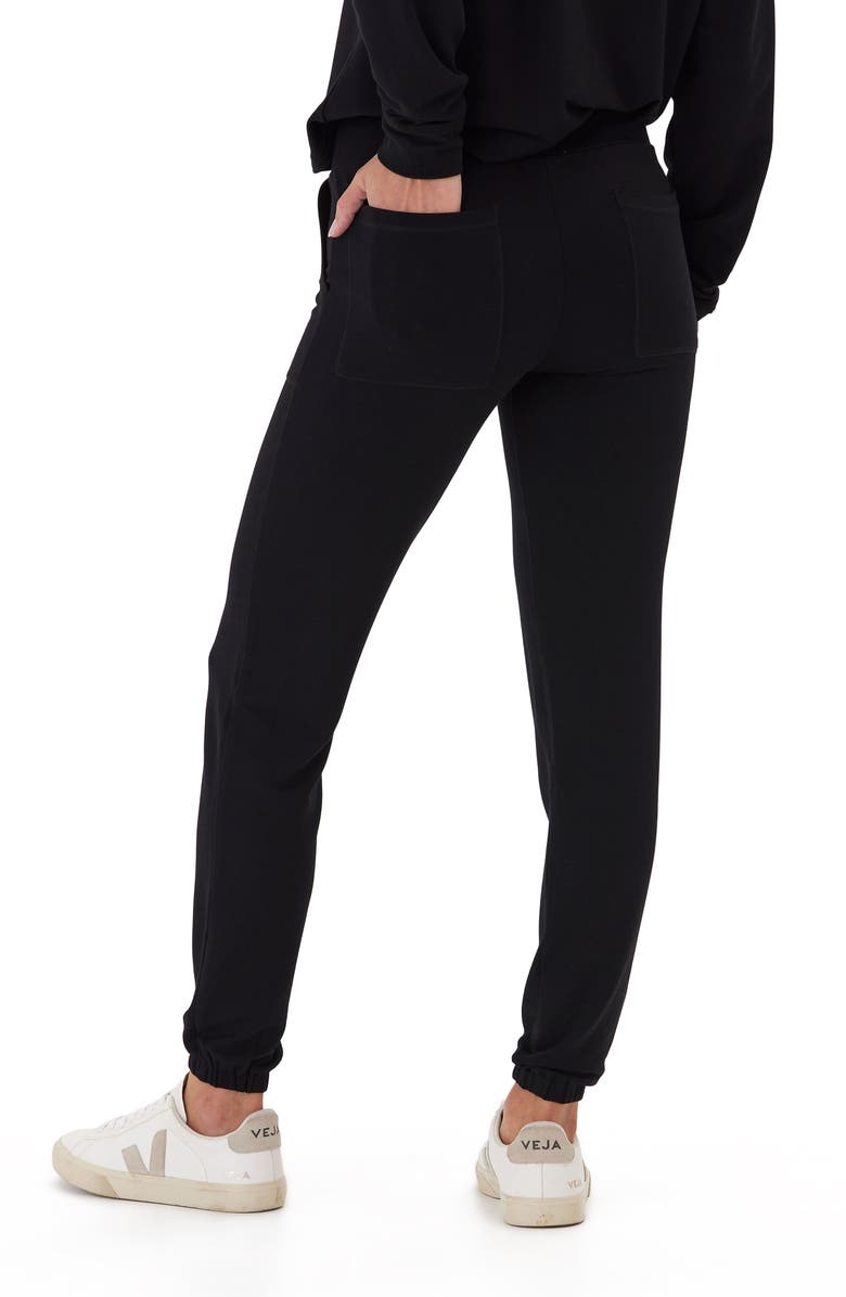 Threads 4 Thought Ani Slim Fit Terry Joggers, Alternate, color, 