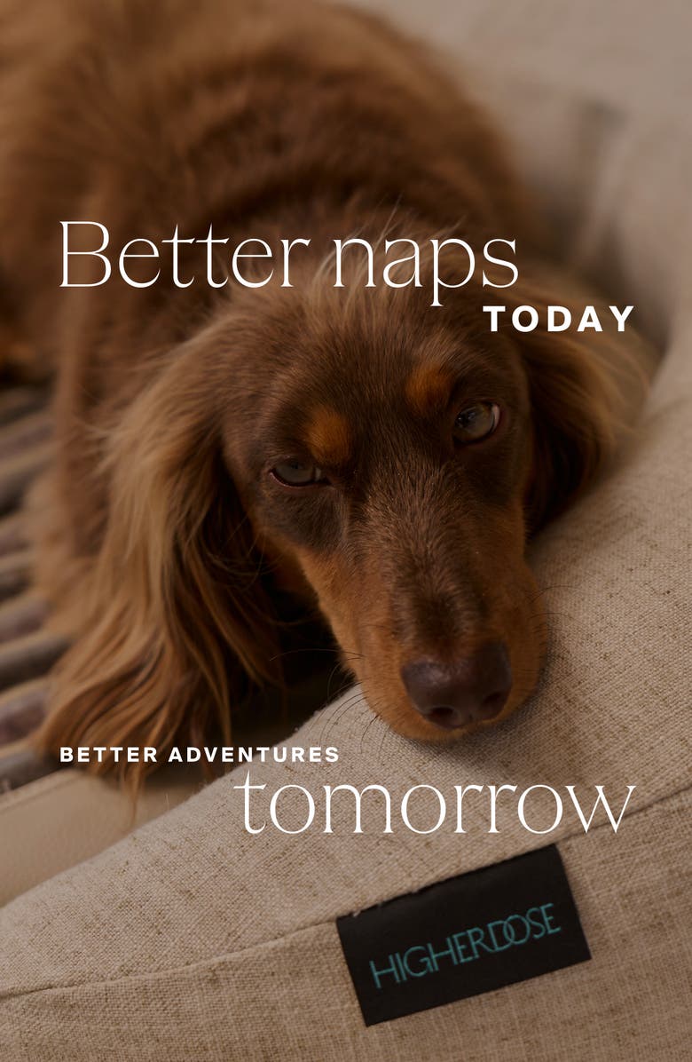 HigherDOSE Infrared PEMF Pet Bed, Alternate, color, 