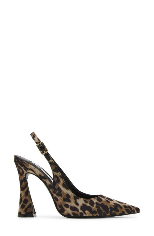 Steve Madden Blare Slingback Pointed Toe Pump In Leopard