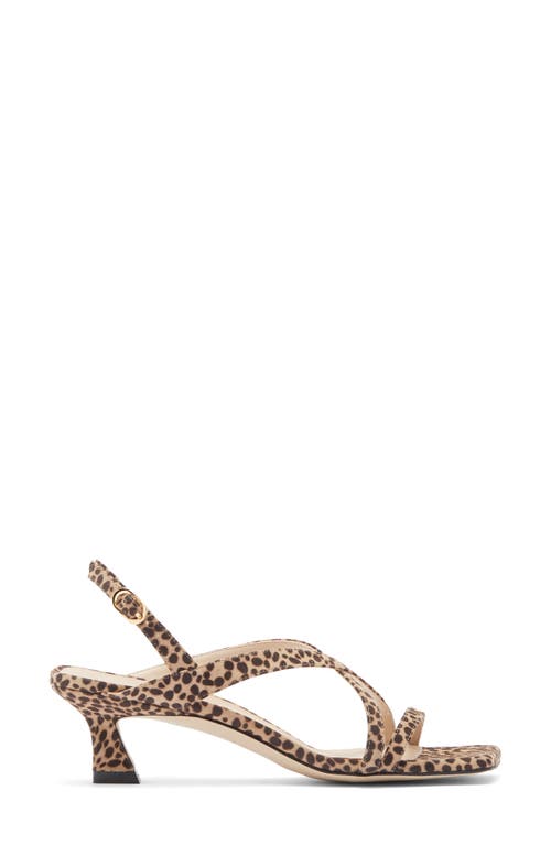 Stuart Weitzman Oasis 50 Slingback Kitten Heel Sandal In Classic
