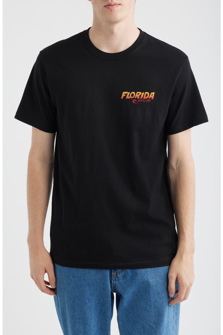 Desti Animals Cotton Graphic T-Shirt, Main, color, BLACK FLORIDA