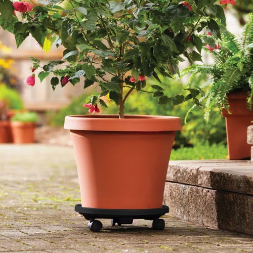 Bloem 12 Inch Round Planter Caddy With Wheels, Black In Black