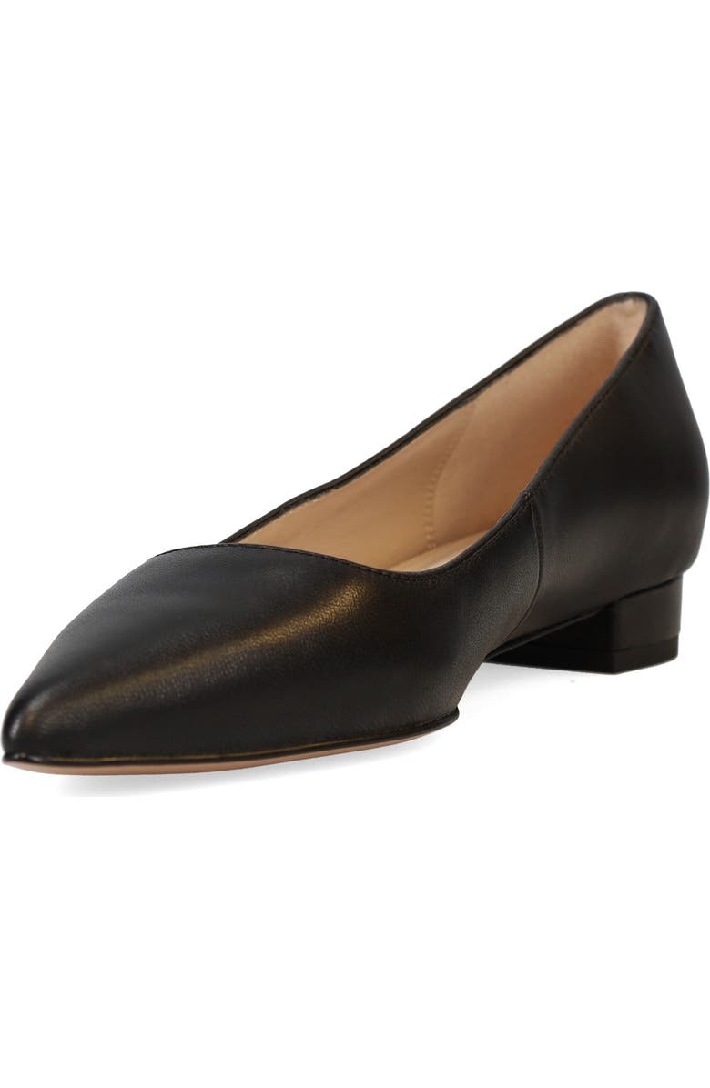 Pelle Moda Aaila Pointed Toe Flat, Alternate, color, Black