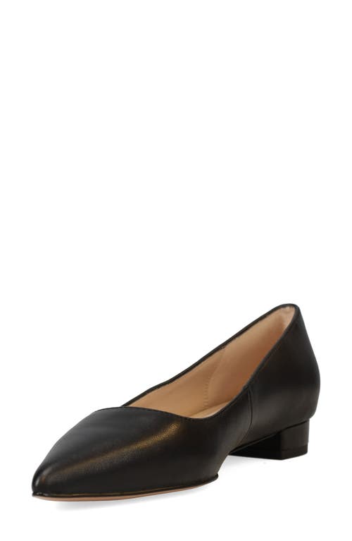 Pelle Moda Aaila Pointed Toe Flat In Black