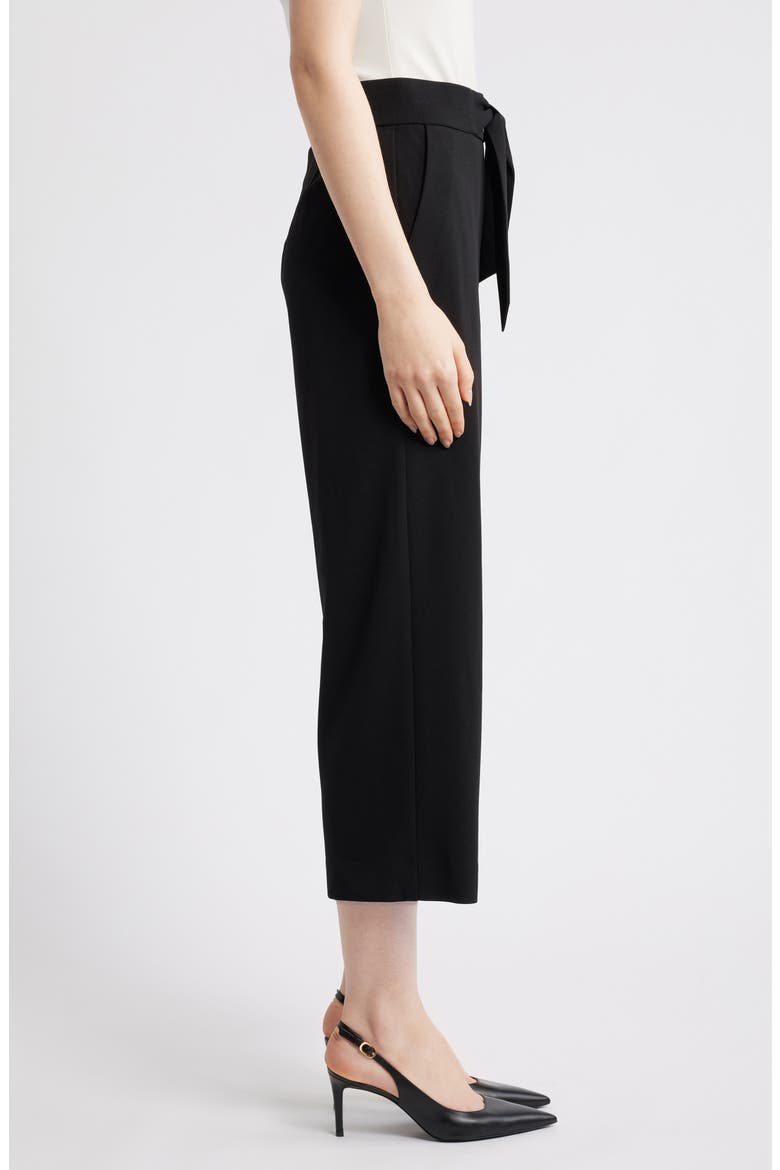 Tie Front Pull-On Wide Leg Crop Pants, Alternate, color, ANNE BLACK