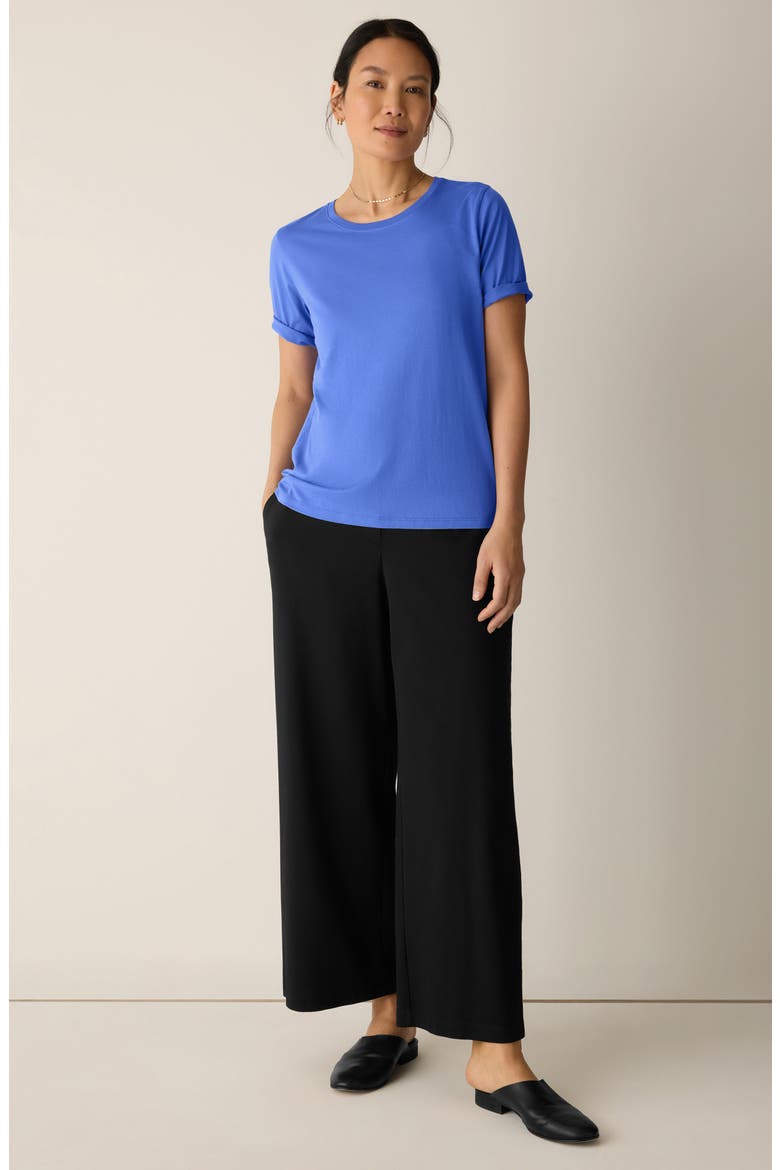 Crewneck Organic Cotton T-Shirt, Alternate, color, BLSTR