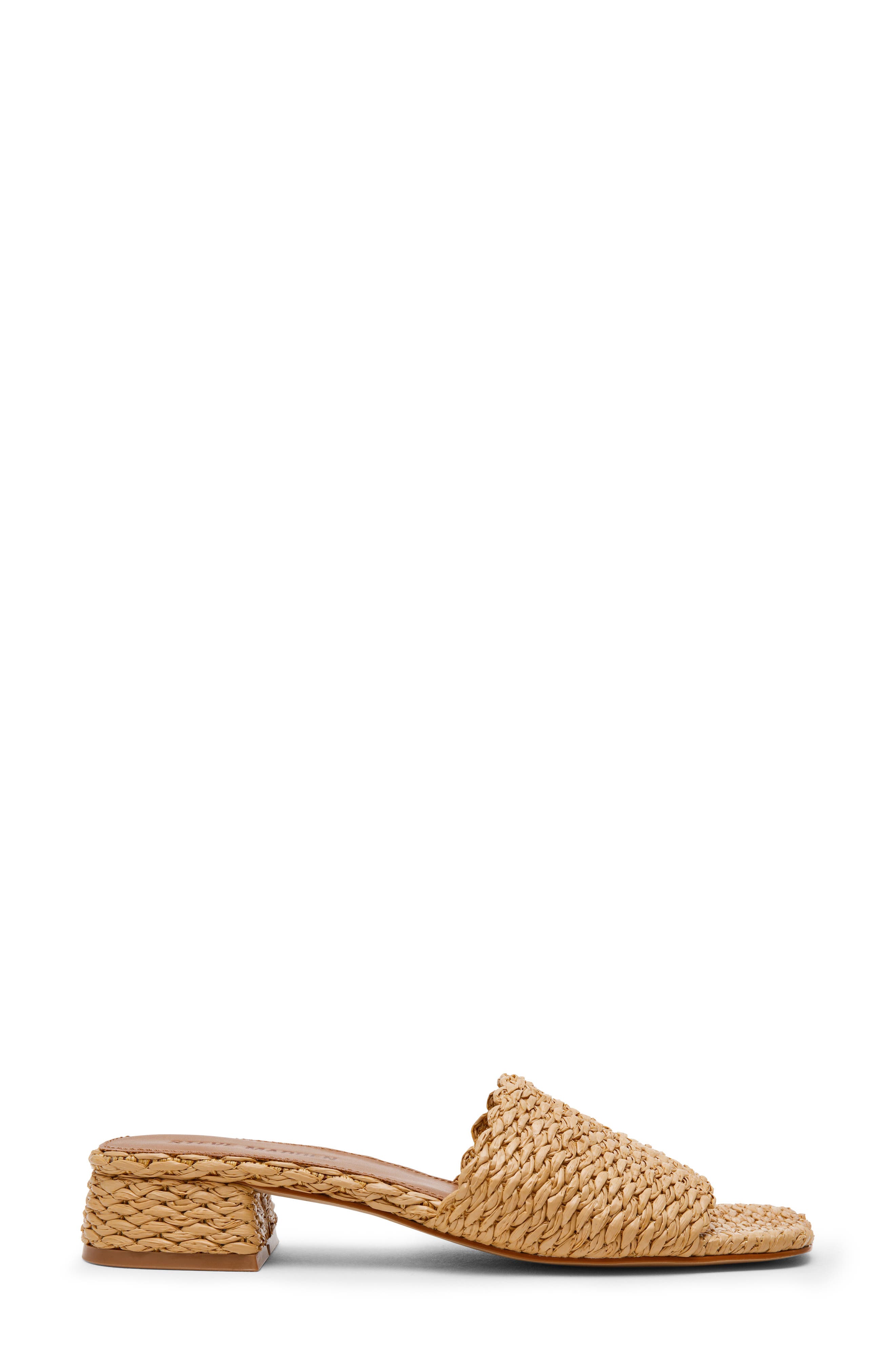 Montgomery Block Heel Sandal, Alternate, color, RAFFIA
