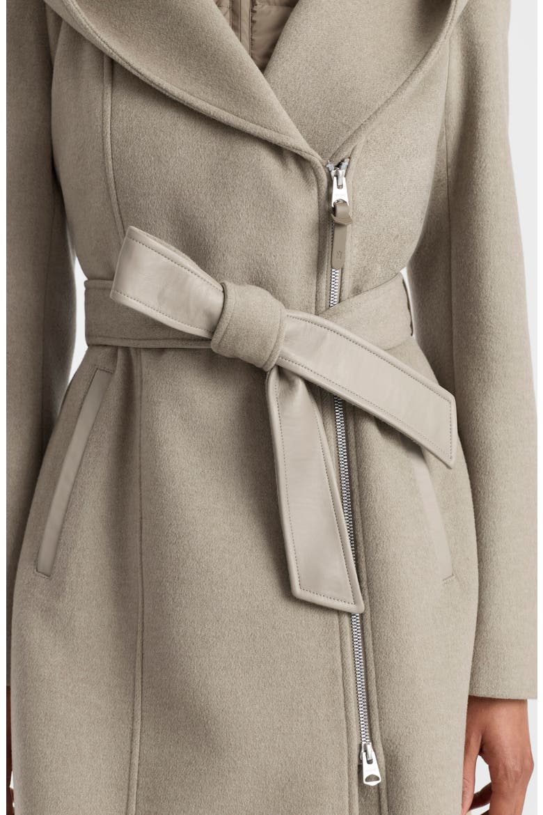 Shia Hooded Wool Coat, Alternate, color, TAUPE