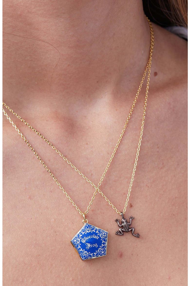 Harry Potter Chocolate Frog Necklace Set, Alternate, color, Blue