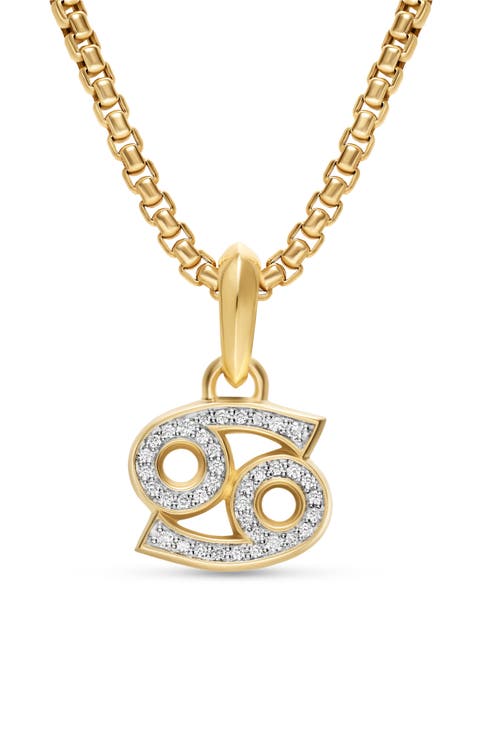 Men's Zodiac Sign Diamond Enhancer