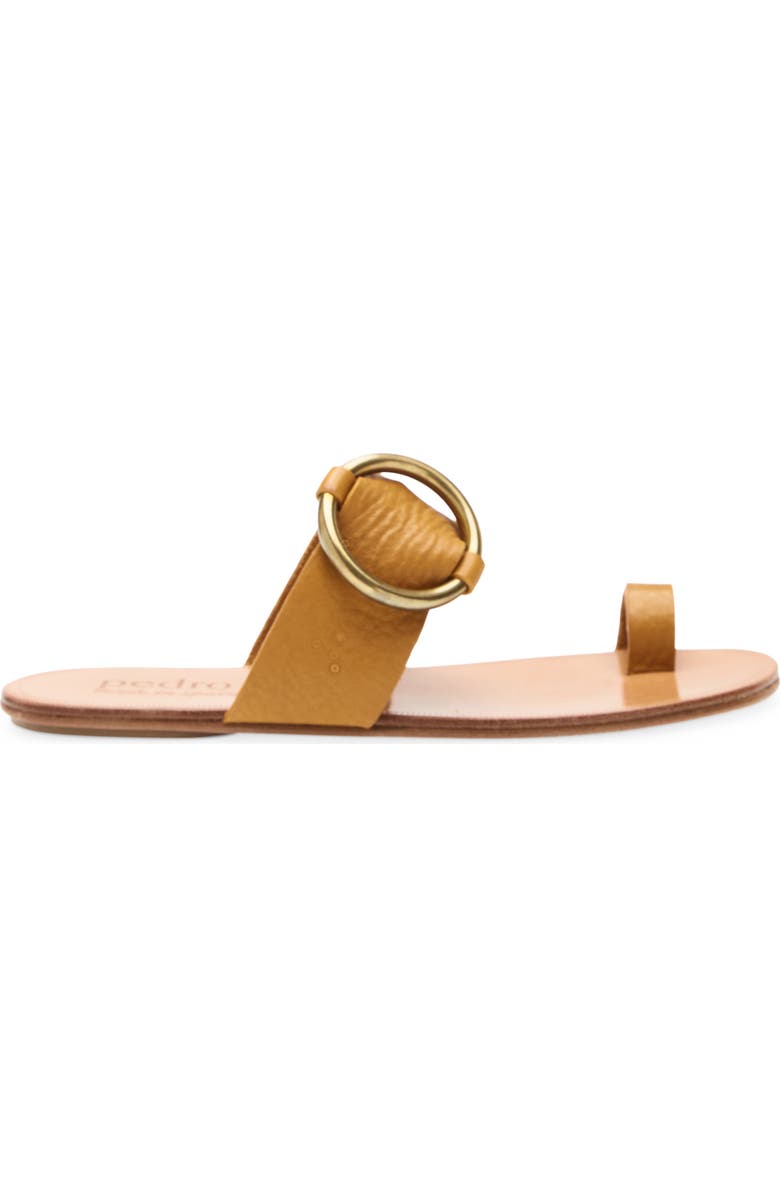 Pedro Garcia Pema Flat Slide Sandal, Alternate, color, Honey Vacchetta