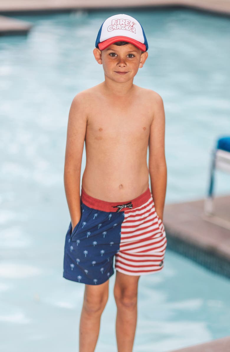Feather 4 Arrow Kids' Palm Stripe Volley Swim Trunks, Alternate, color, Twilight