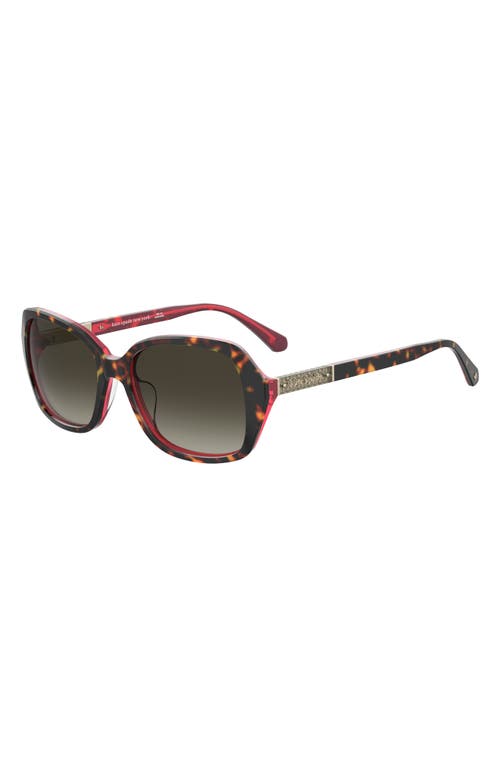 Kate Spade New York Yvette 54mm Gradient Polarized Square Sunglasses In Brown