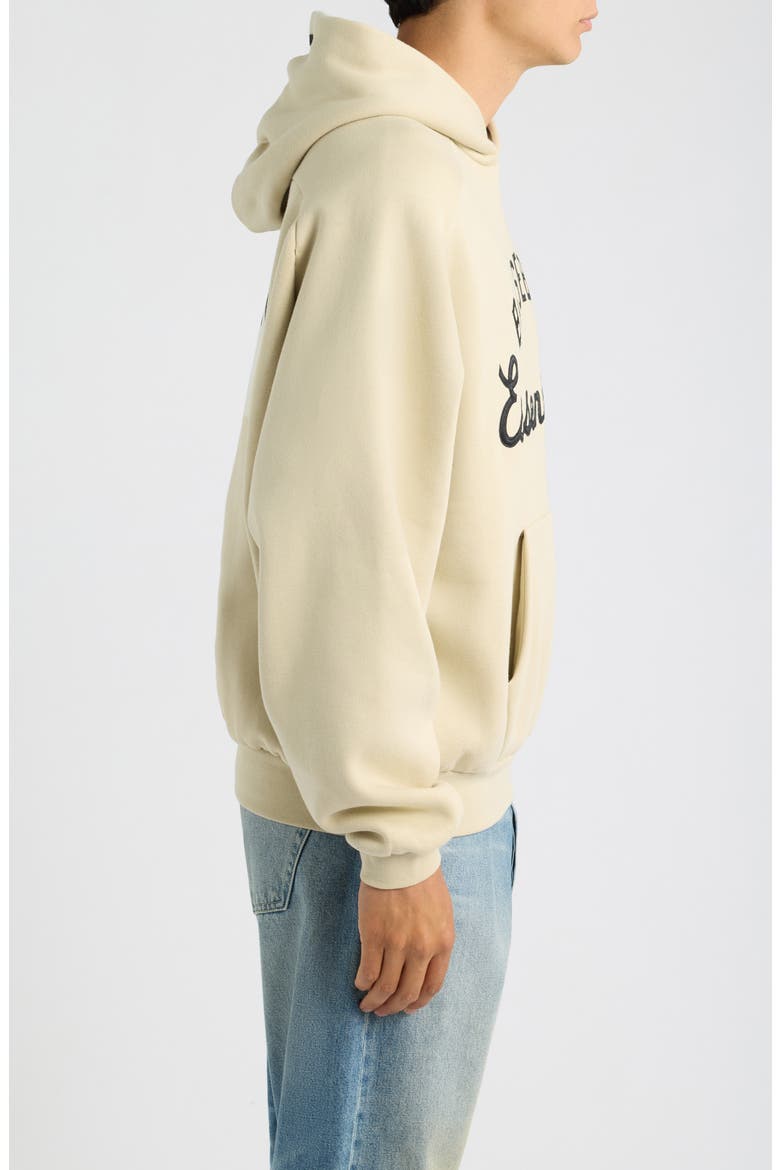 x MLB Embroidered Cotton Blend Fleece Hoodie, Alternate, color, SANDSTONE/ STONE BLUE