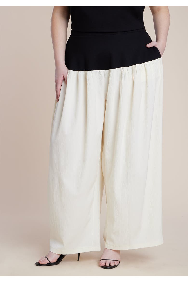 Colorblocked Wide Leg Pant, Alternate, color, BLACK AND WHITE