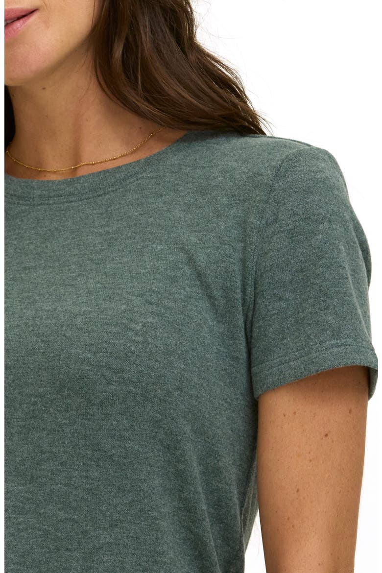 Gwenda Crewneck T-shirt, Alternate, color, ALPINE