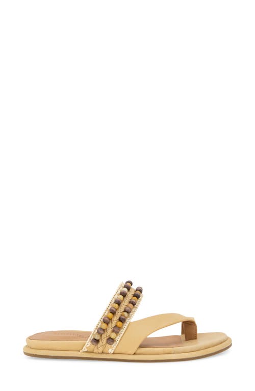 GENTLE SOULS BY KENNETH COLE GENTLE SOULS LENTINI TOE LOOP SANDAL