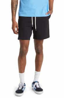 PacSun Reed Twill Volley Shorts