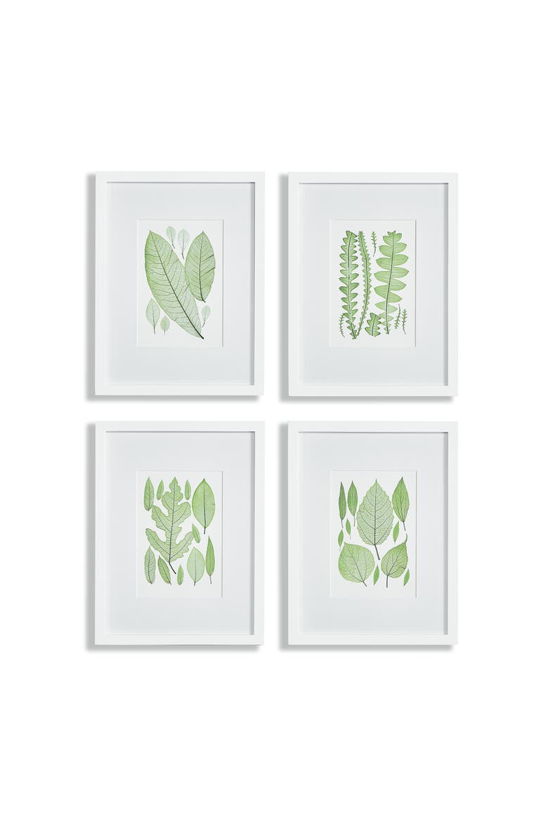 Assorted Leaf Prints Set of 4, Main, color, Green