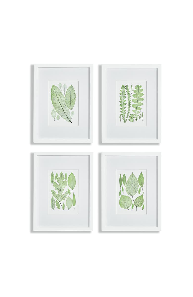 Napa Home & Garden Assorted Leaf Prints Set of 4, Main, color, Green