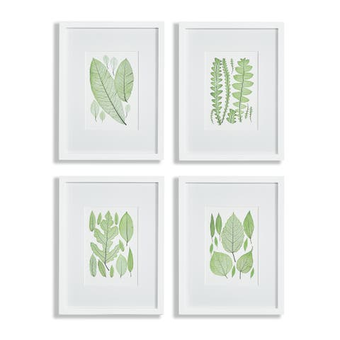Assorted Leaf Prints Set of 4