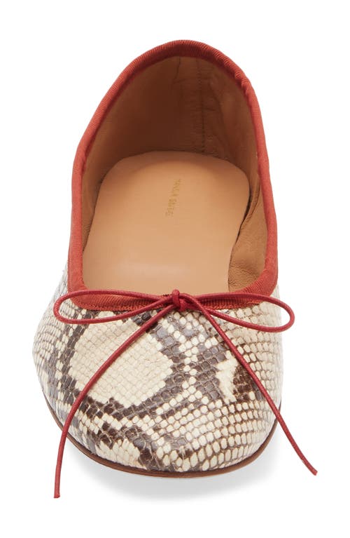 Mansur Gavriel Ballet Flat In Multi