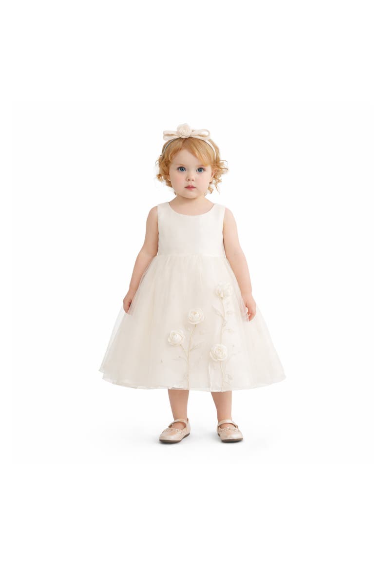Floral Whisper Overlay Dress, Alternate, color, Ivory