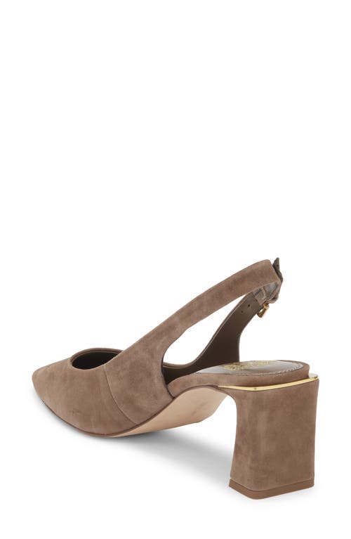 Vince Camuto Hamden Pointed Toe Slingback Pump In Brown