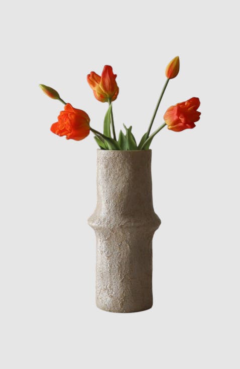 Orange Triumph Tulips