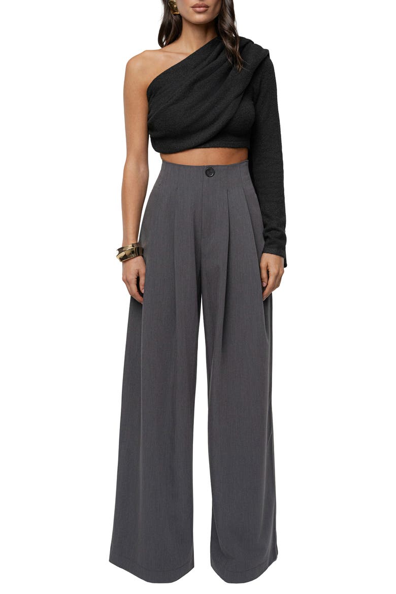 Pleated Wide Leg Pants, Alternate, color, GRAY