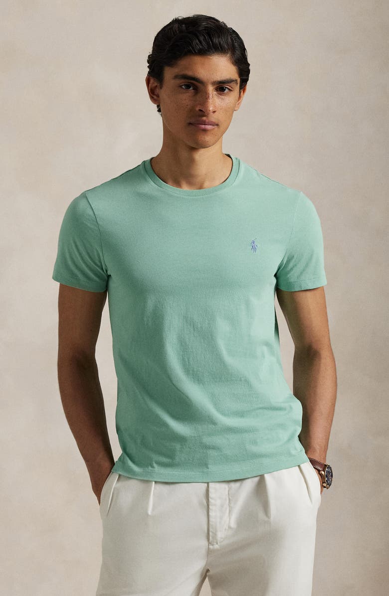 Polo Ralph Lauren Classic Fit Jersey Crewneck T-Shirt, Alternate, color, 