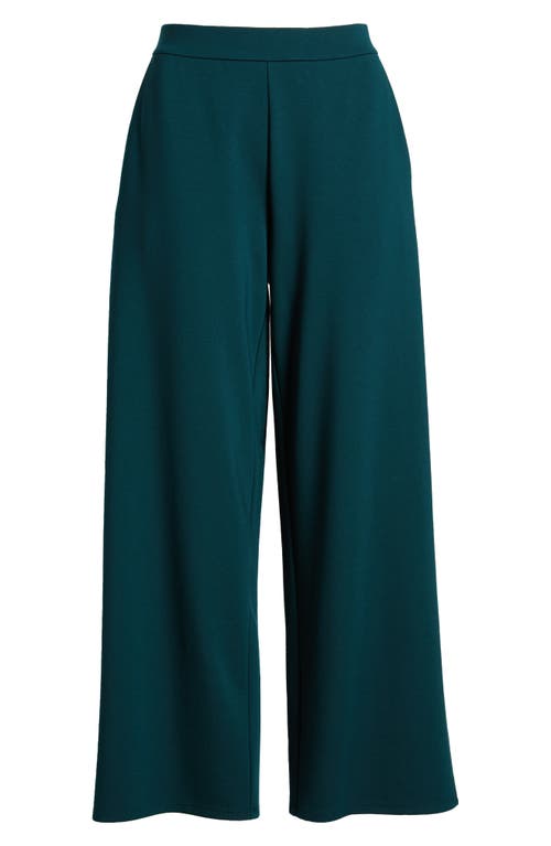 Eileen Fisher High Waist Wide Leg Ponte Pants In Green