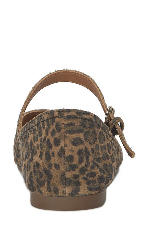 Lucky Brand Albajane Flat In Animal Print