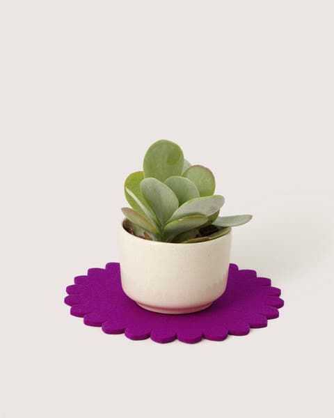 Crest Merino Wool 10" Trivet