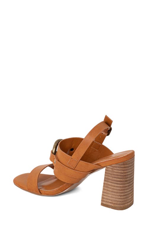 Shushop Hannah Block Heel Slingback Sandal In Brown