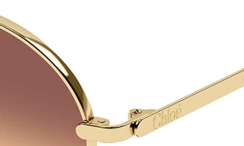 Chloé Ch0326s Round Frame Sunglasses In Gold