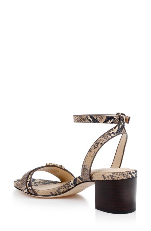 Shop L Agence L'agence Hughette Snakeskin Embossed Ankle Strap Sandal In Natural Snake Embossed