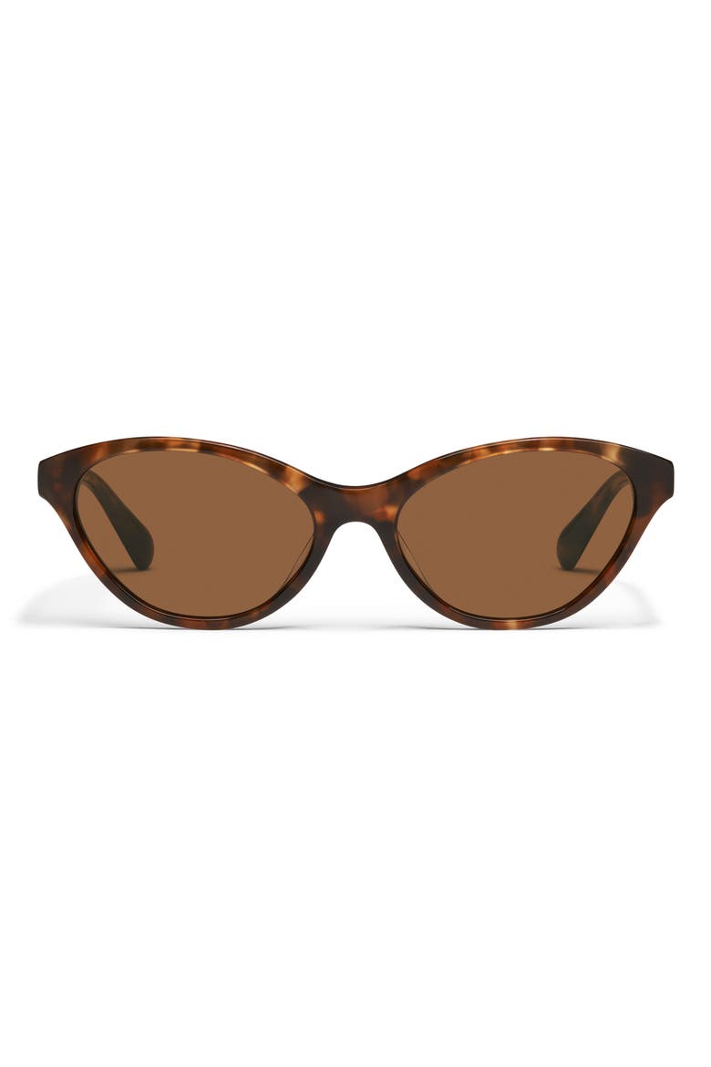 Talk Nice 55mm Cat Eye Sunglasses, Main, color, AMBER TORT/ BROWN