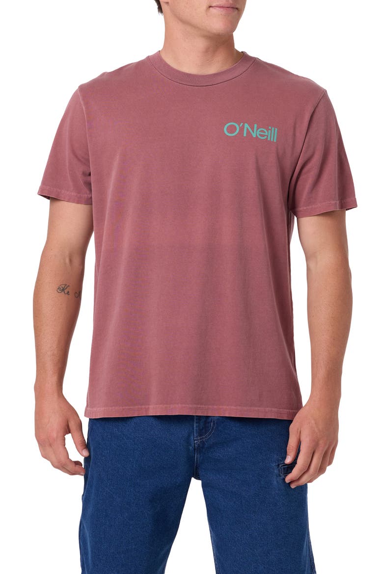 OG Surfer Vintage Graphic T-Shirt, Main, color, APPLE BUTTER