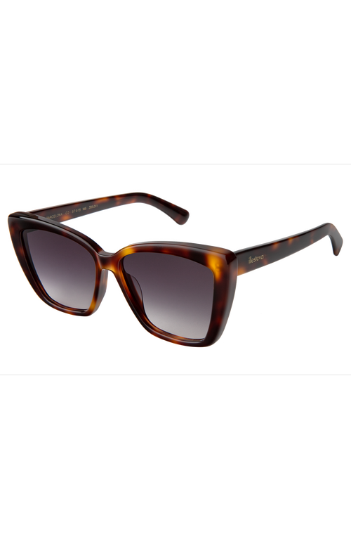 Illesteva Barcelona Sunglasses In Havana
